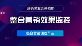 營銷總監(jiān)必備 常見推廣渠道的深度優(yōu)化策略與技術(shù)賦能